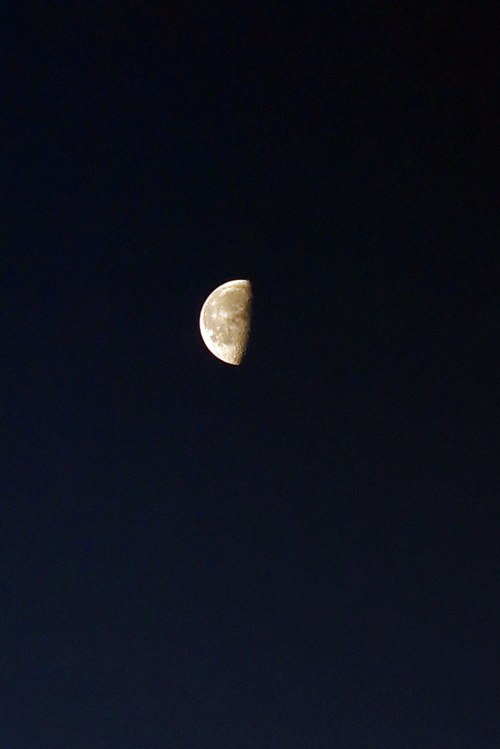 the-moon
